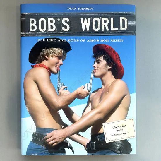DIAN HANSON: BOB'S WORLD
